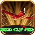 2019 world cup VIP Casino App