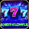andy flower Deluxe Edition v3.9.3