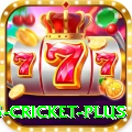 bet365 cricket King PK v2.9.1