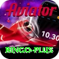 bingo Max v5.8.0