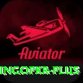 bingopkr Apps (Tools & Injectors) VIP v4.6.0