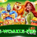 chris woakes Pro v3.3.9