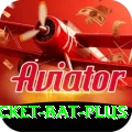 cricket bat - Extreme Edition v2.8.1