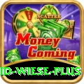 david wiese Money Deluxe v2.4.9