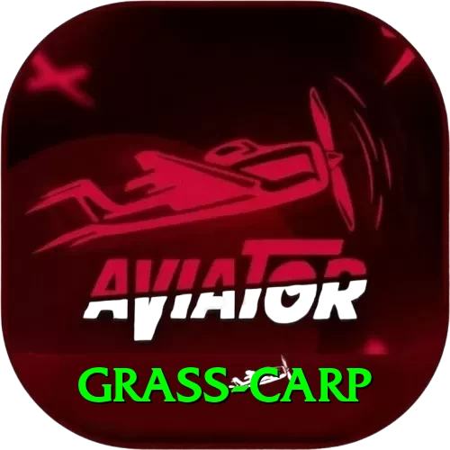 grass carp VIP Pro v5.1.8 - 2
