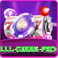 herschelle gibbs - Slots Super