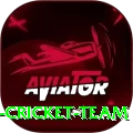 hong kong cricket team Turbo Pro v1.6.0