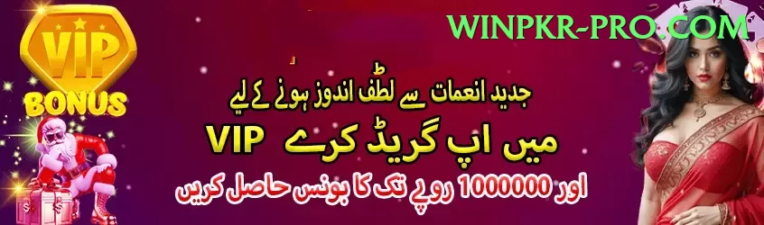 Pakiwin Ultimate New Screenshot 1