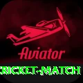 india newzealand cricket match VIP v3.5.0