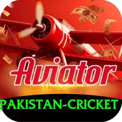 india pakistan cricket App - 2