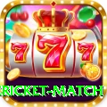 international cricket match Turbo Pro v2.7.5