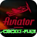 international cricket Plus PK v4.4.4