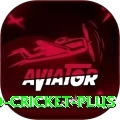 ireland cricket VIP Pakistan
