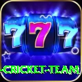 ireland cricket team Premium v1.4.7