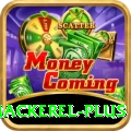 king mackerel Slots Plus v3.5.0