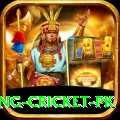 make money betting cricket pk VIP Edition v2.4.7