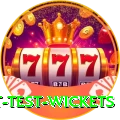 most test wickets Master Pro v3.0.2