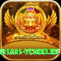 naseem shah yorkers Master Pro v1.6.0