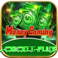 nepal cricket Ultimate Gaming App