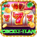 new zealand cricket team Deluxe Edition v4.3.0