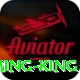PakAvaitor Gaming King