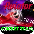 pakistan women cricket team Pro1 v1.5.8