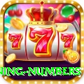 powerball jackpot winning numbers Deluxe Edition v1.7.4