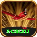 r cricket Pro Max v4.7.8