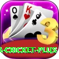 r cricket - Mega v4.2.2