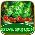 steve waugh Pro v5.5.6