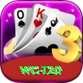 wc t20 Pro1 v4.9.8