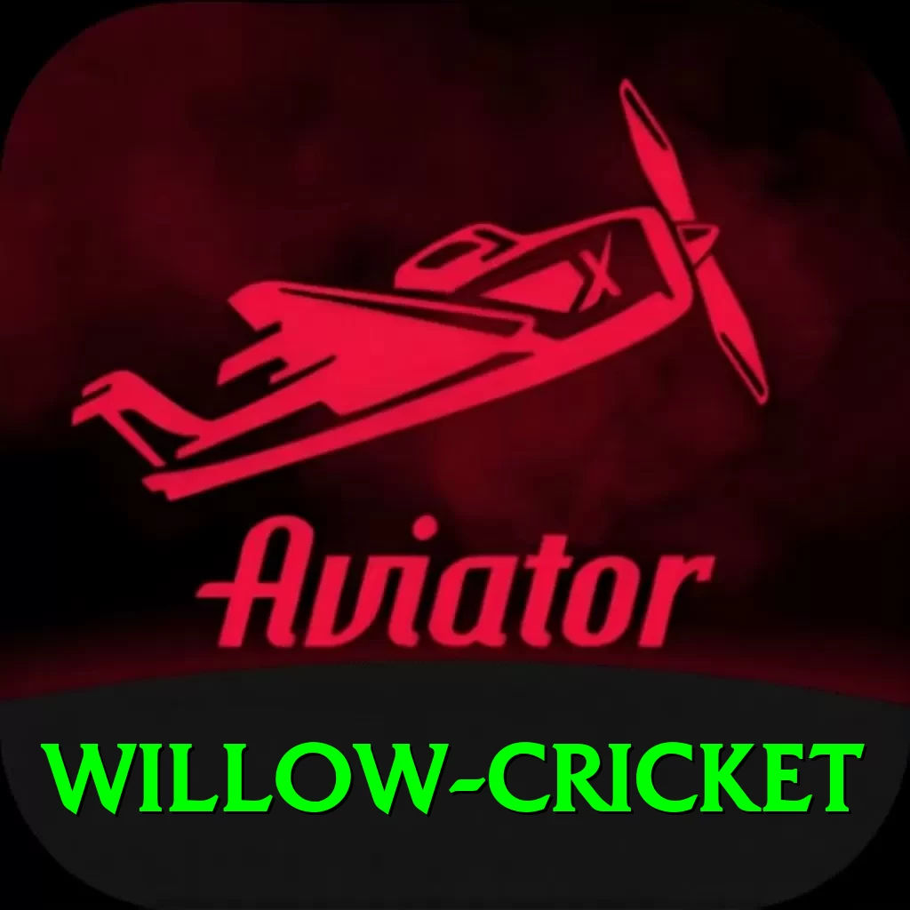 willow cricket Premium Edition v1.5.0 - 2