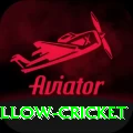 willow cricket Premium Edition v1.5.0