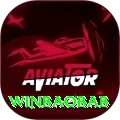 winbaobab Premium v1.2.6